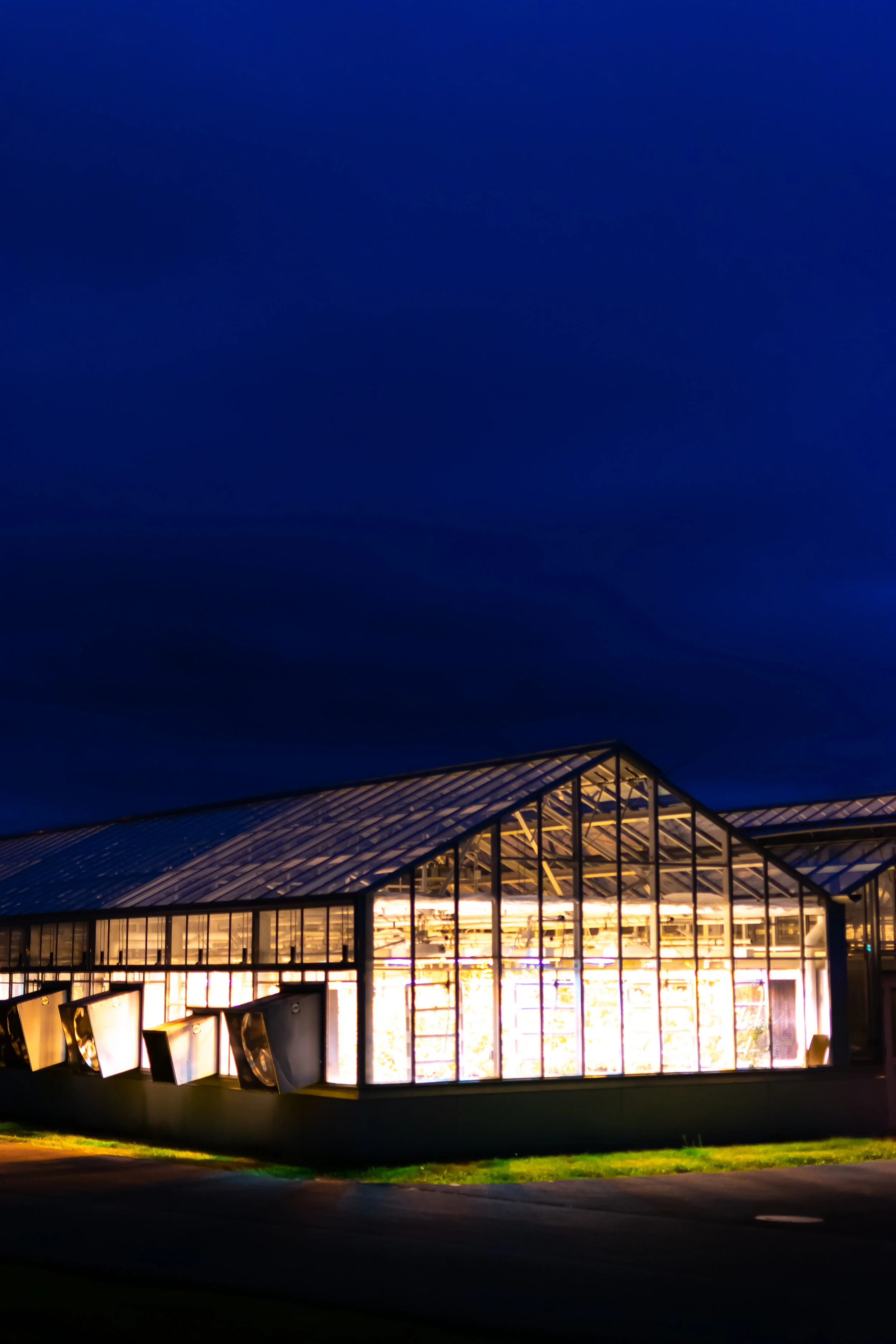 Website V2 Lightroom Recoved Images-32.jpg