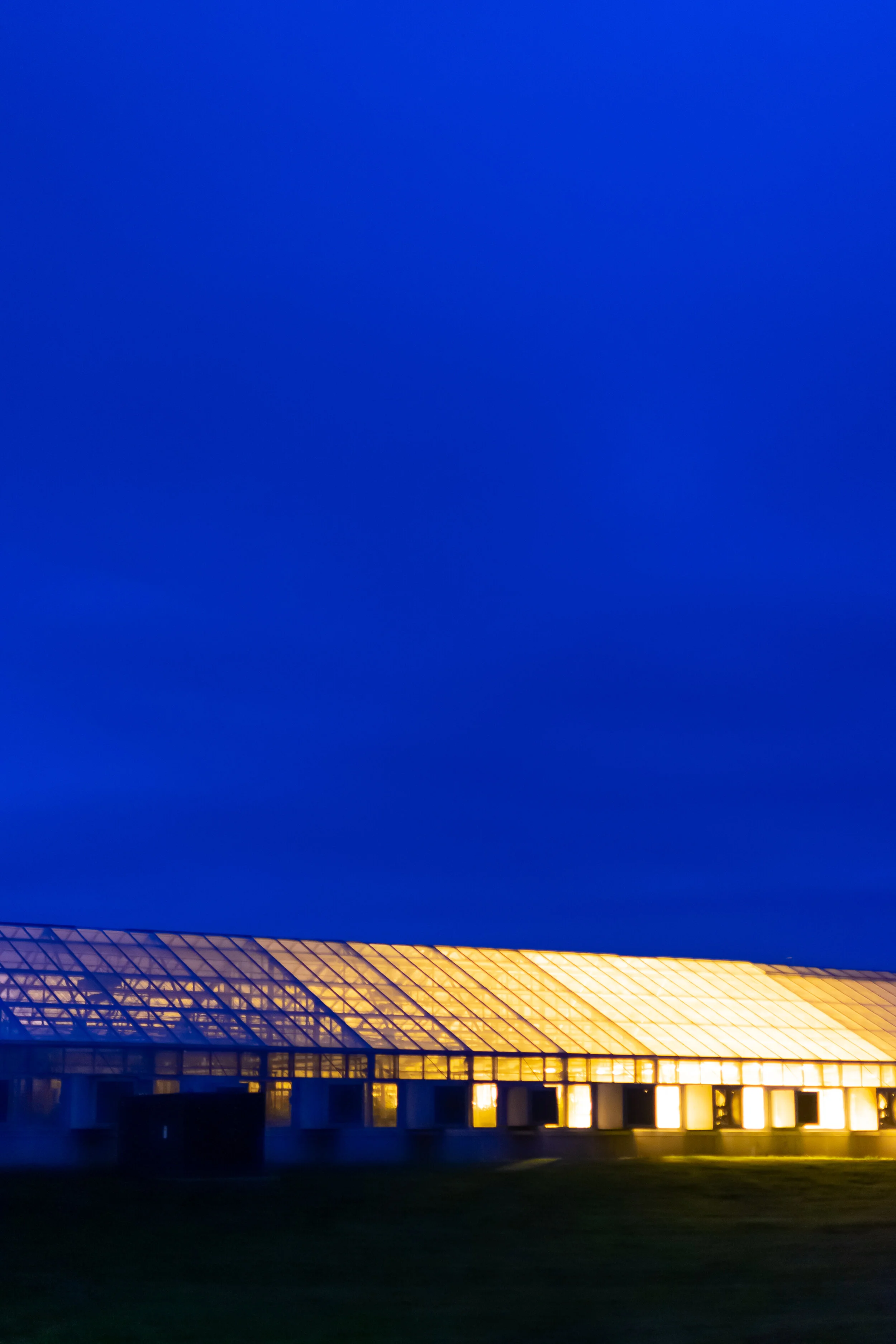 Website V2 Lightroom Recoved Images-33.jpg