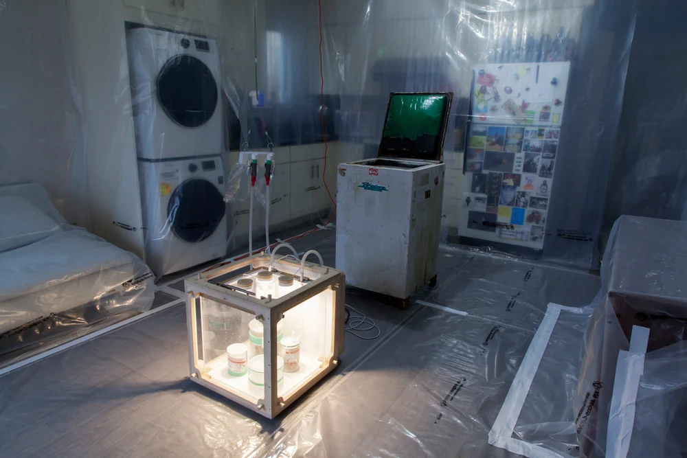 Icebox | Daniel Hoffman @ Alexandra Box McCoy and Doenja Oogjes | April 2018