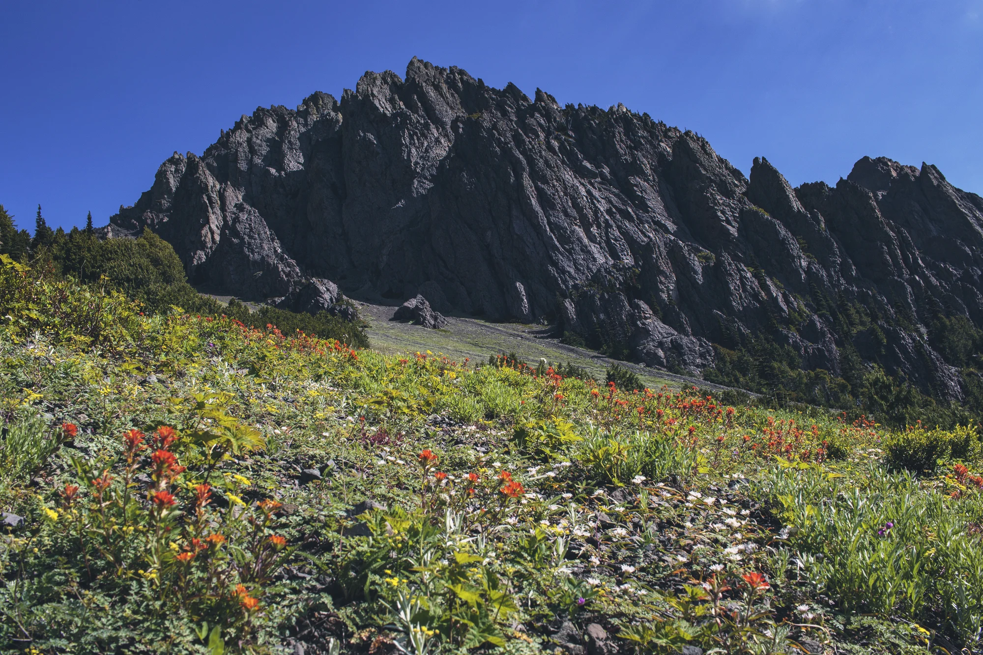 Okay, so again, these colors! Those peaks! How is this possible? How is this a real life place?