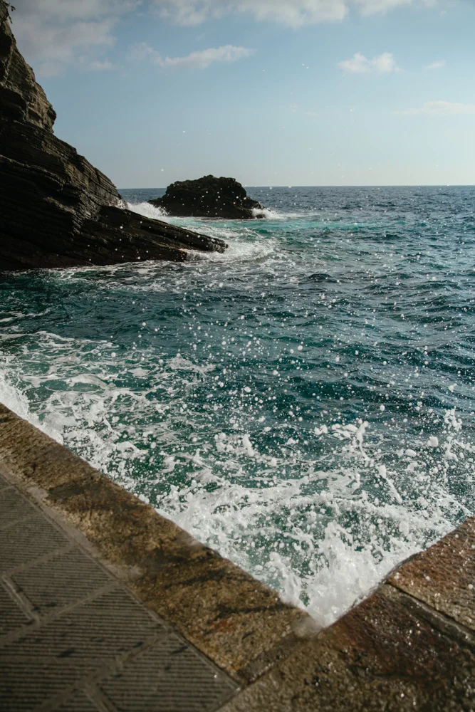 _DSC8540.jpg