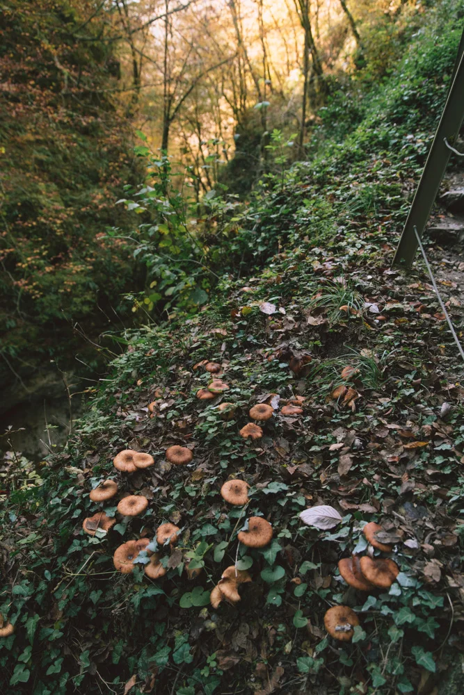 _DSC9918.jpg