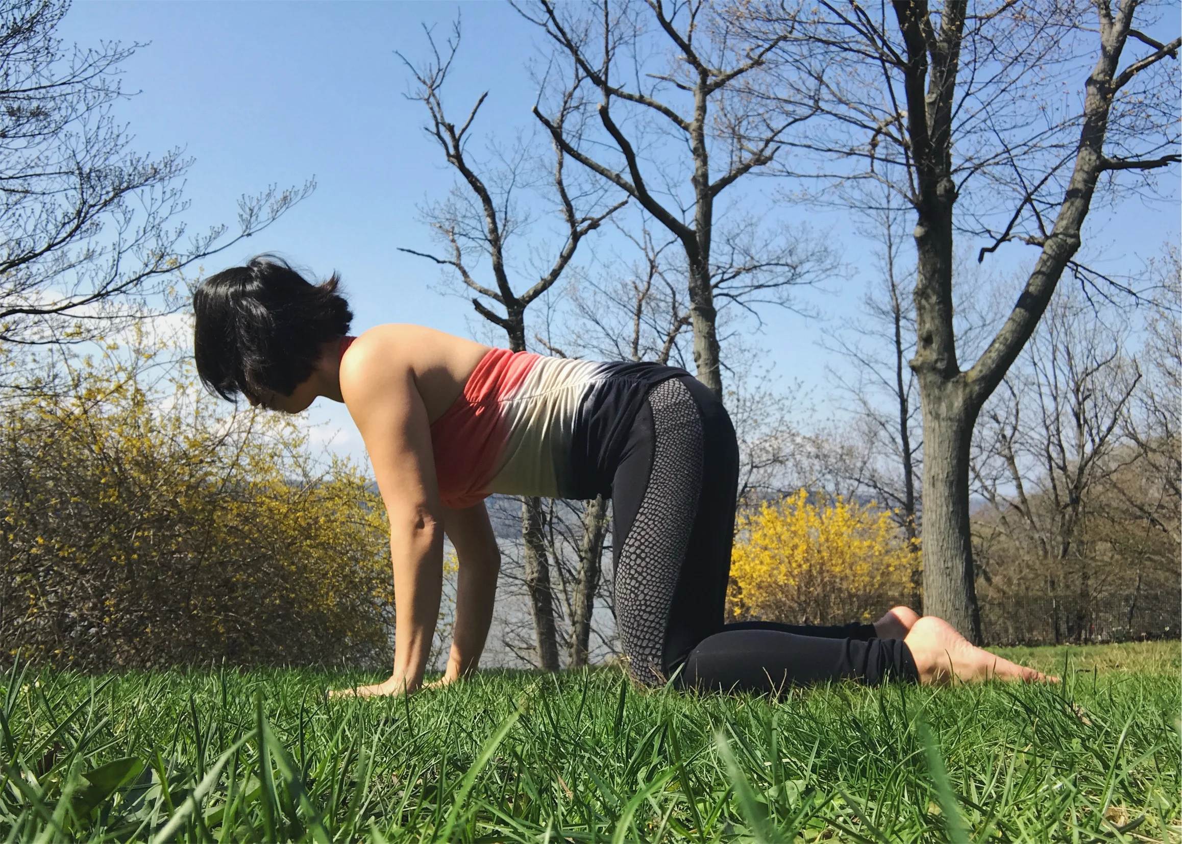 Table top into Low Lunge (low anjaneyasana)1.jpeg