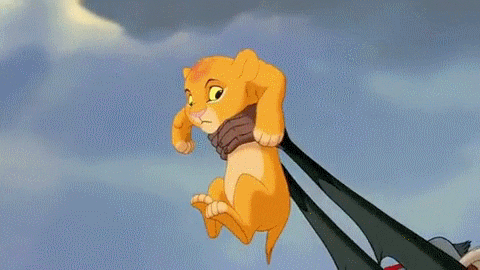 Simba.gif