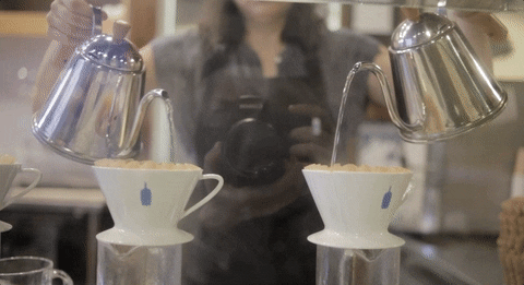 Blue Bottle.gif