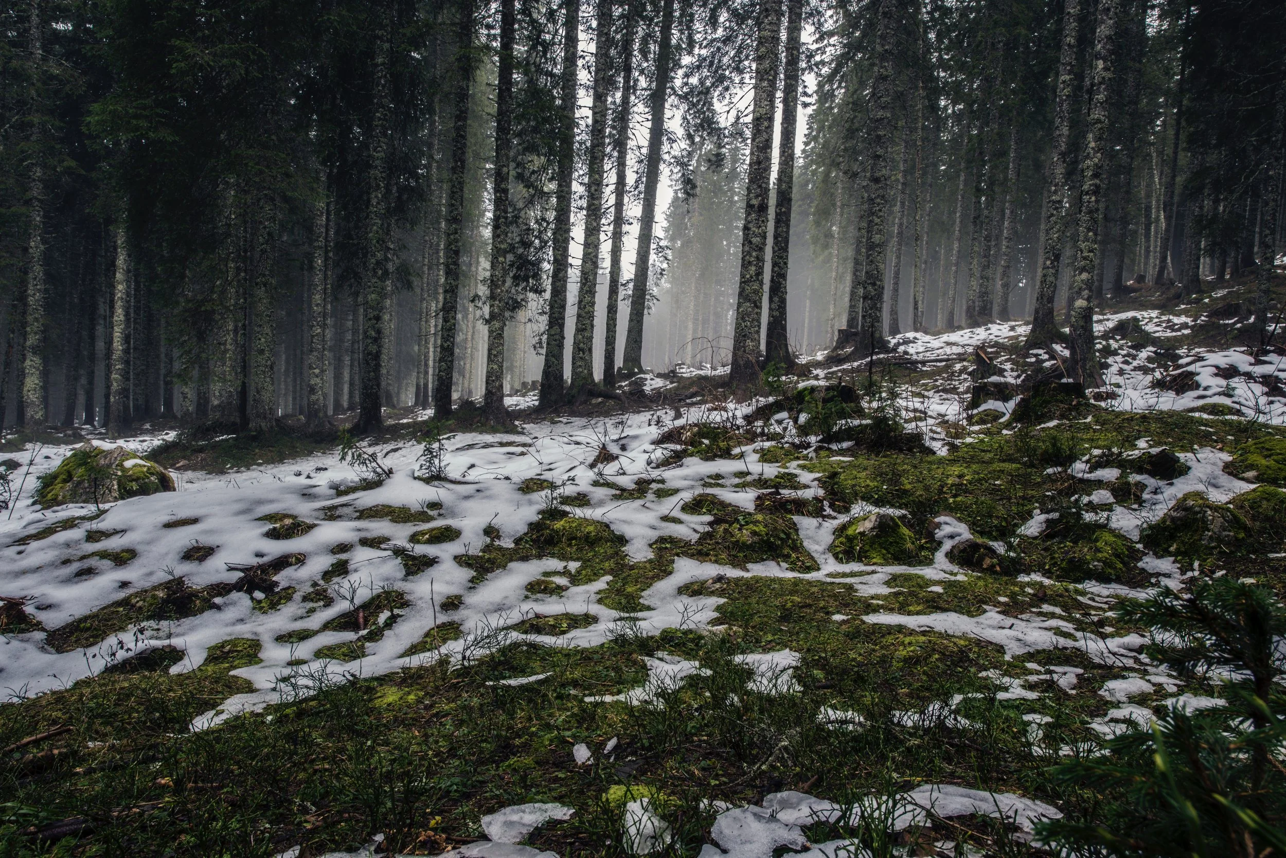 Photo by Ales Krivec on Unsplash