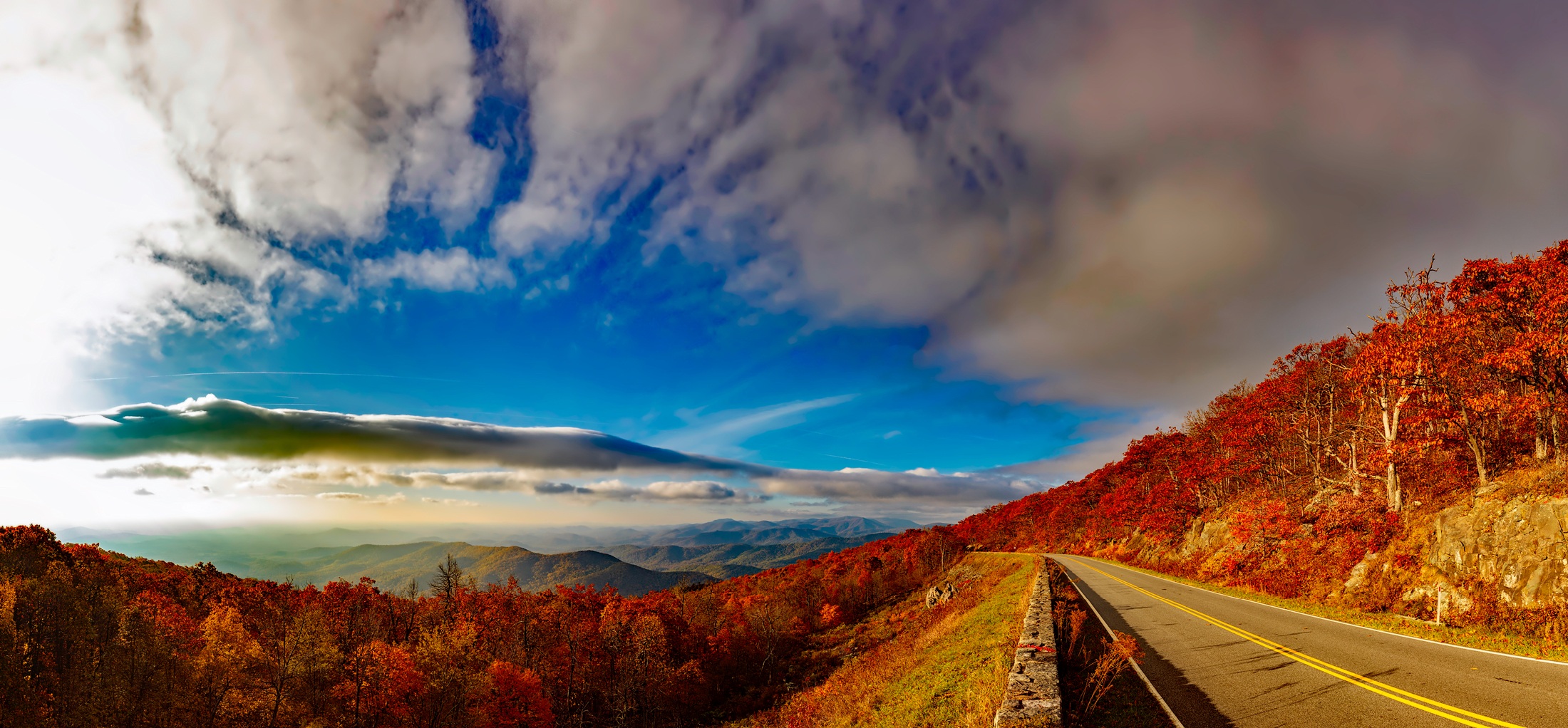 fall-foliage-4.jpeg