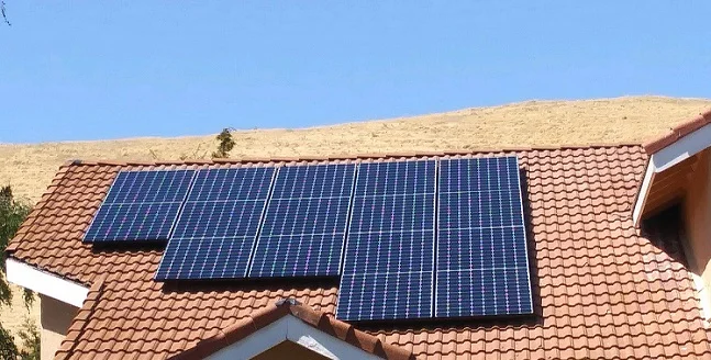 Cecilia M. - Fairfield