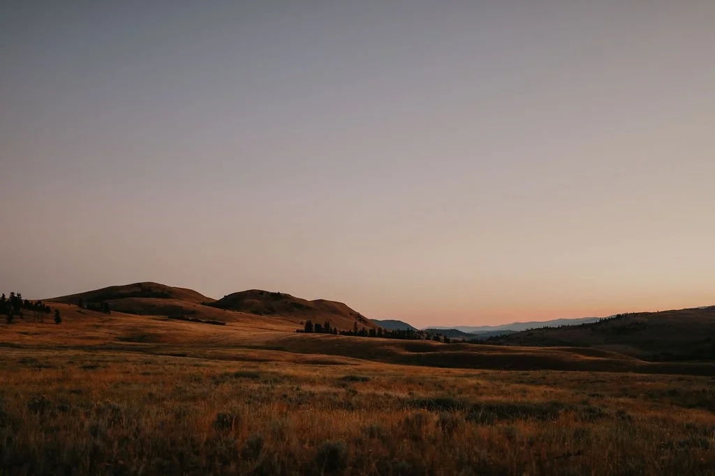 Unleash Your Inner Cowboy: Why Rocking Ridge Ranch is the Ultimate Rustic Wedding Destination