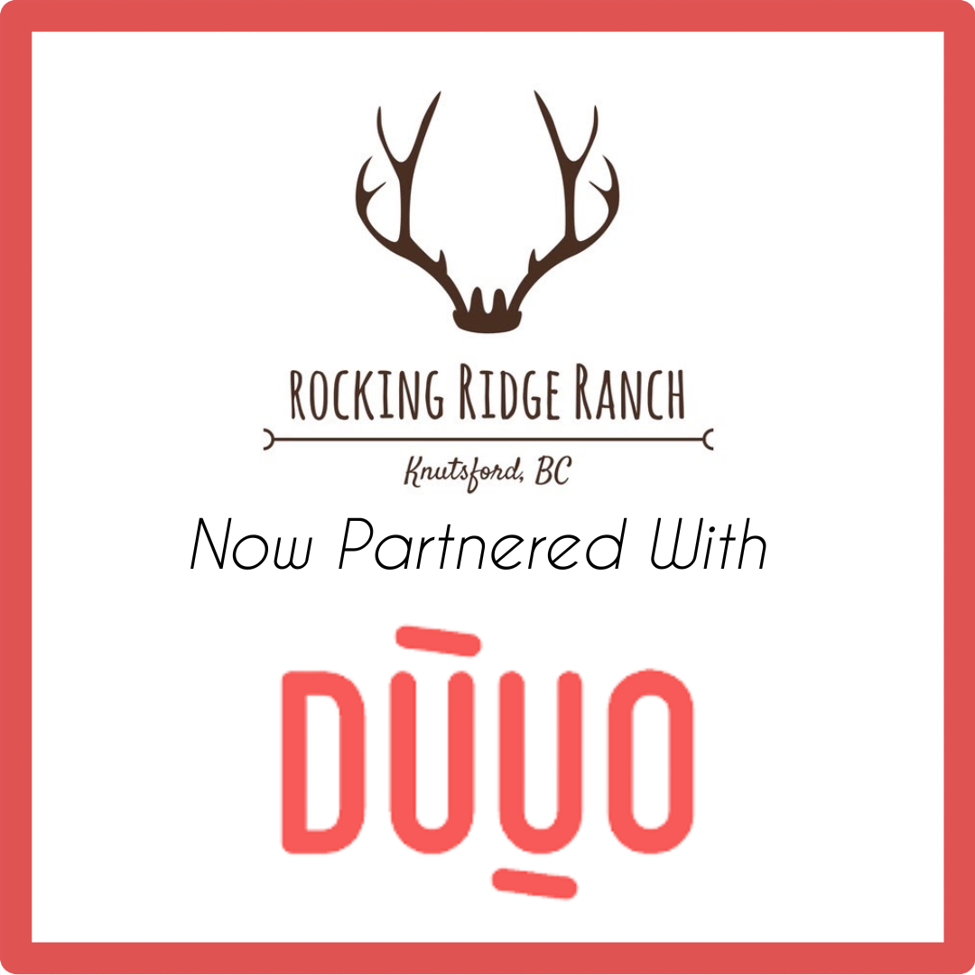 Introducing: Duuo Insurance - Protecting Your Wedding Day
