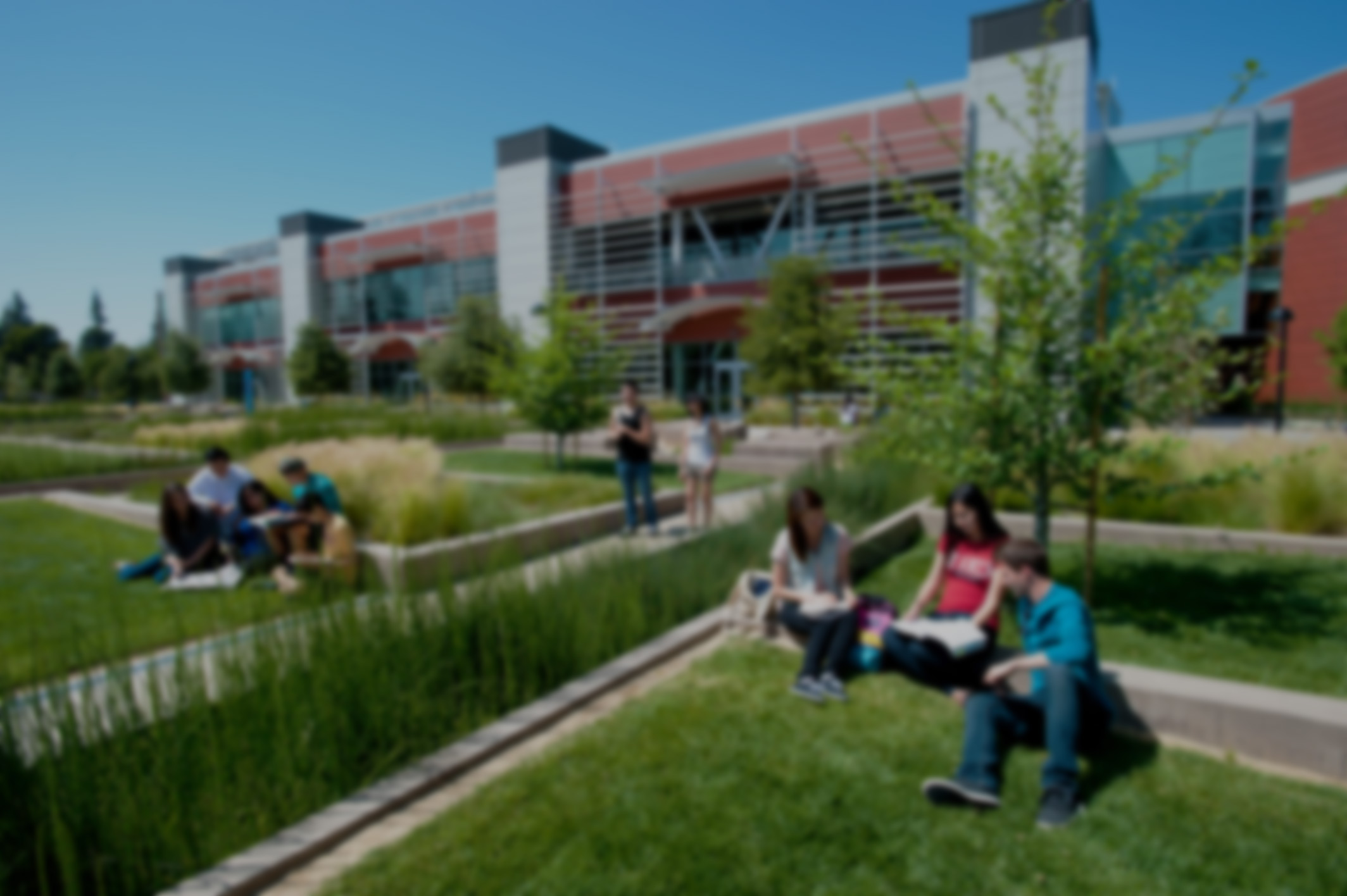 vision-for-success-campus-blur-bg.jpg