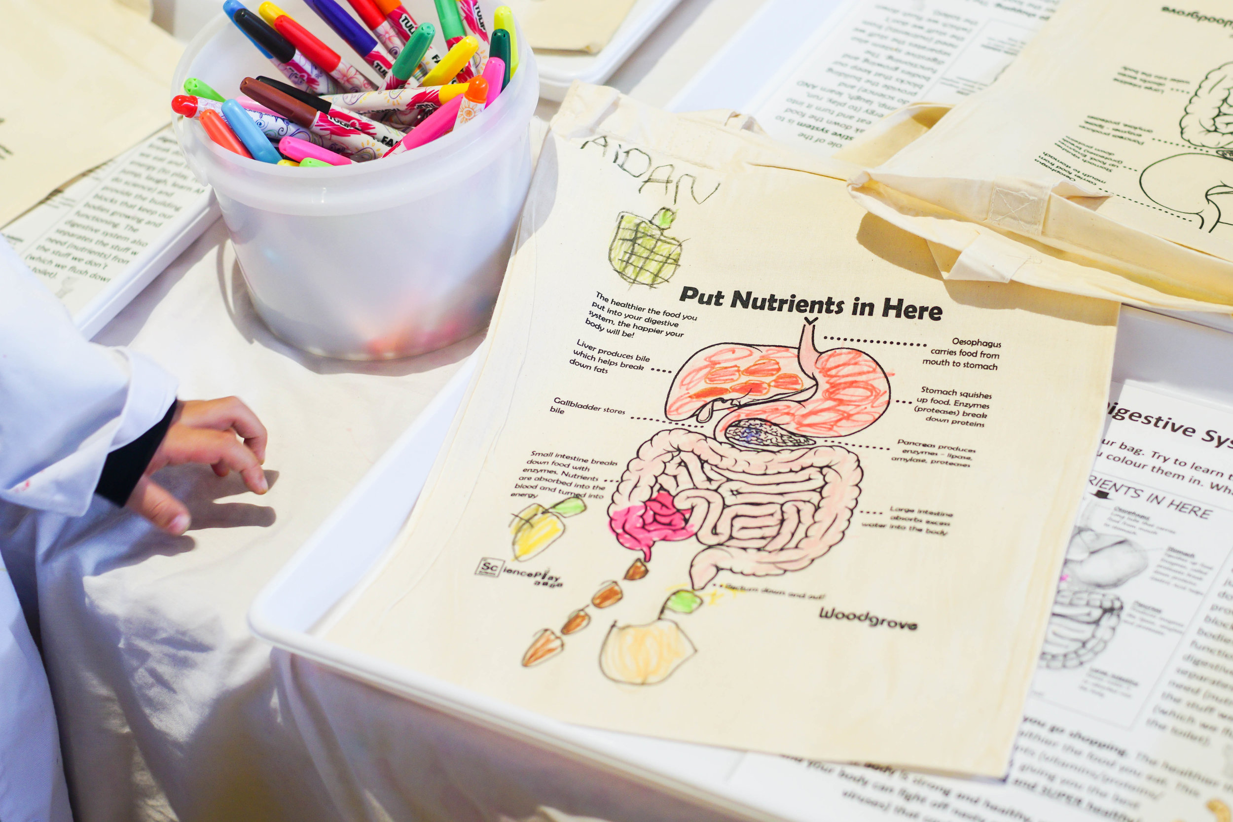 SciencePlay Kids - Little Life Lab Woodgrove Melton - 5-17.jpg
