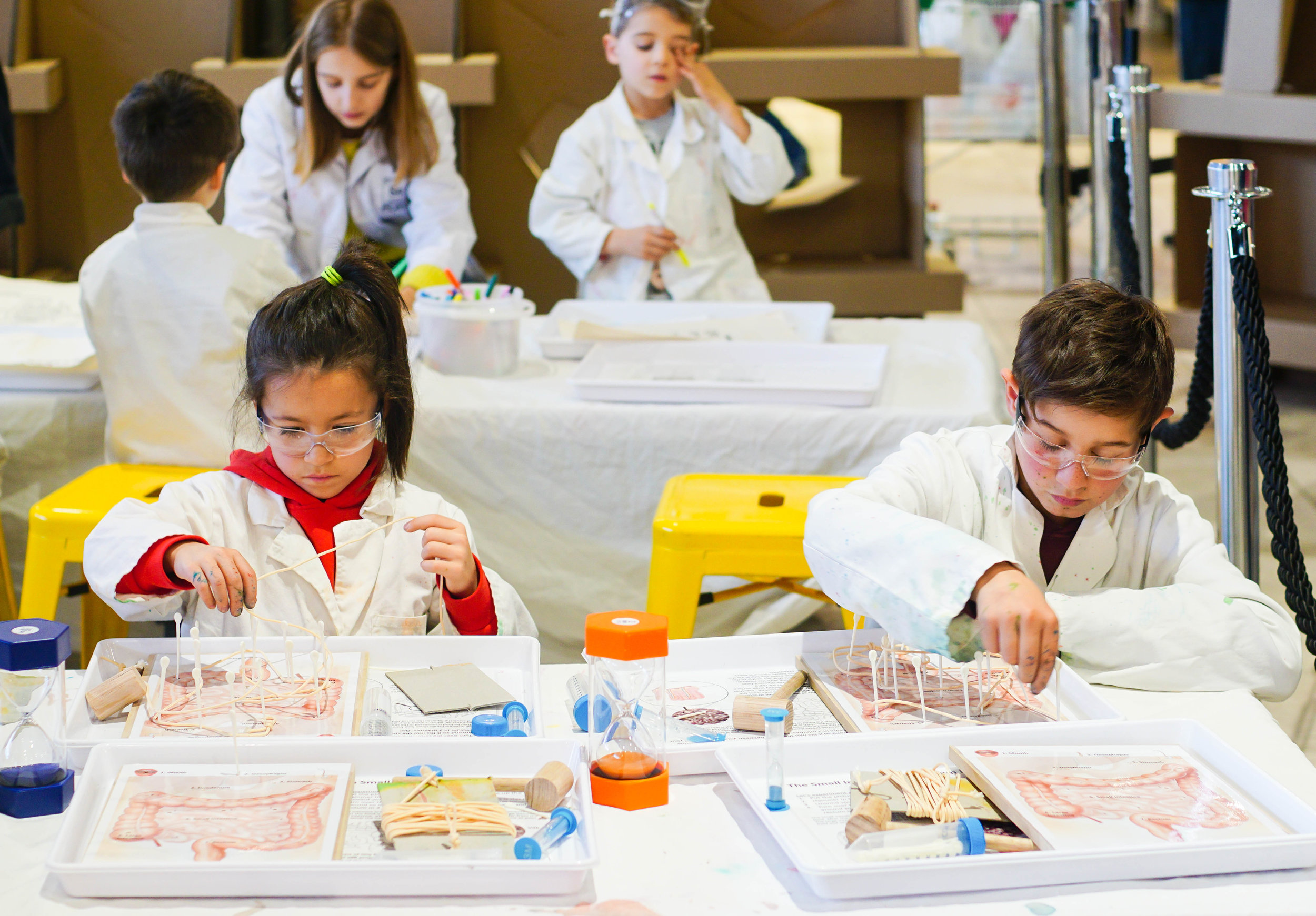 SciencePlay Kids - Little Life Lab Woodgrove Melton - 10-2.jpg