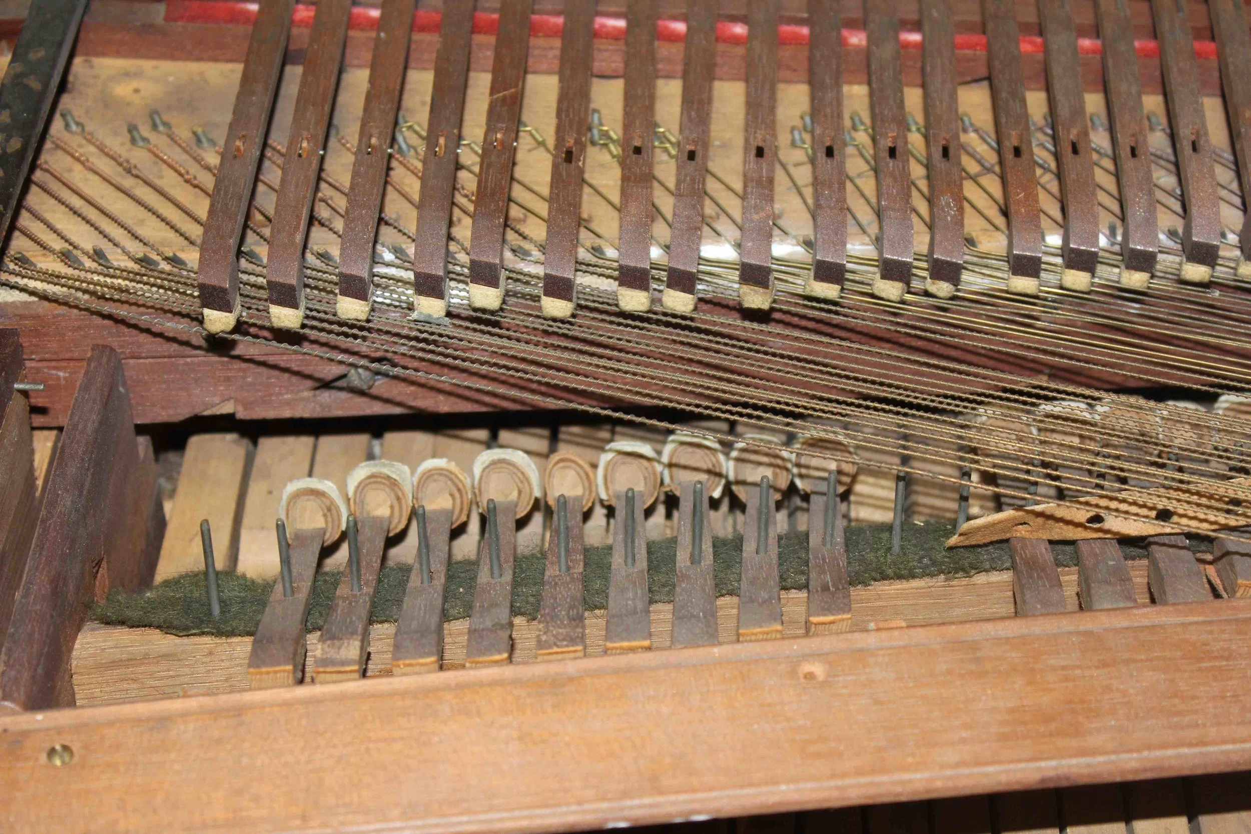 10BuntebartActiondetailBass1.jpg