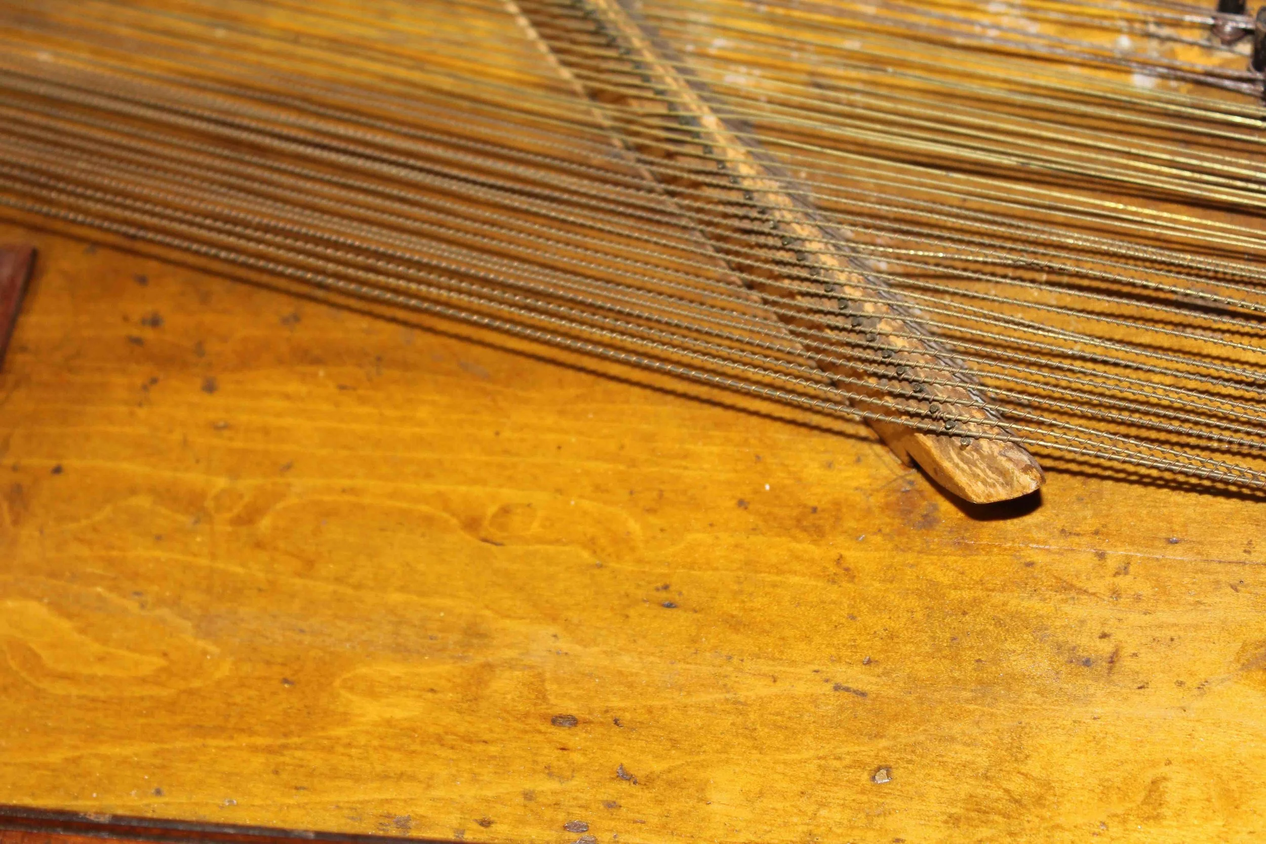 12BuntebartBassStringDetail1.jpg