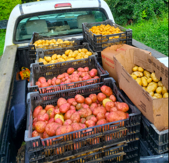 Rabbit Den Farm