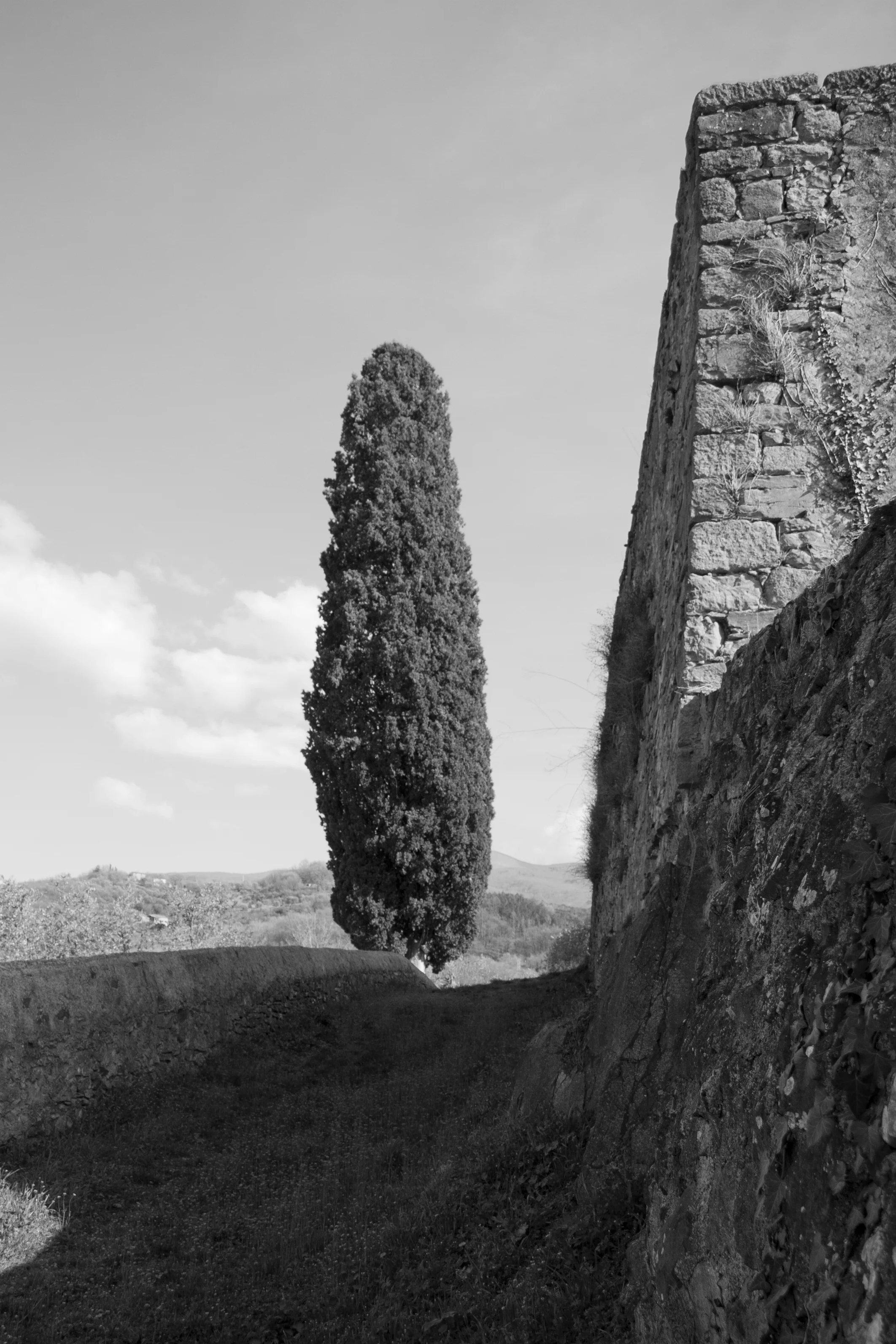 Tuscany2.jpg
