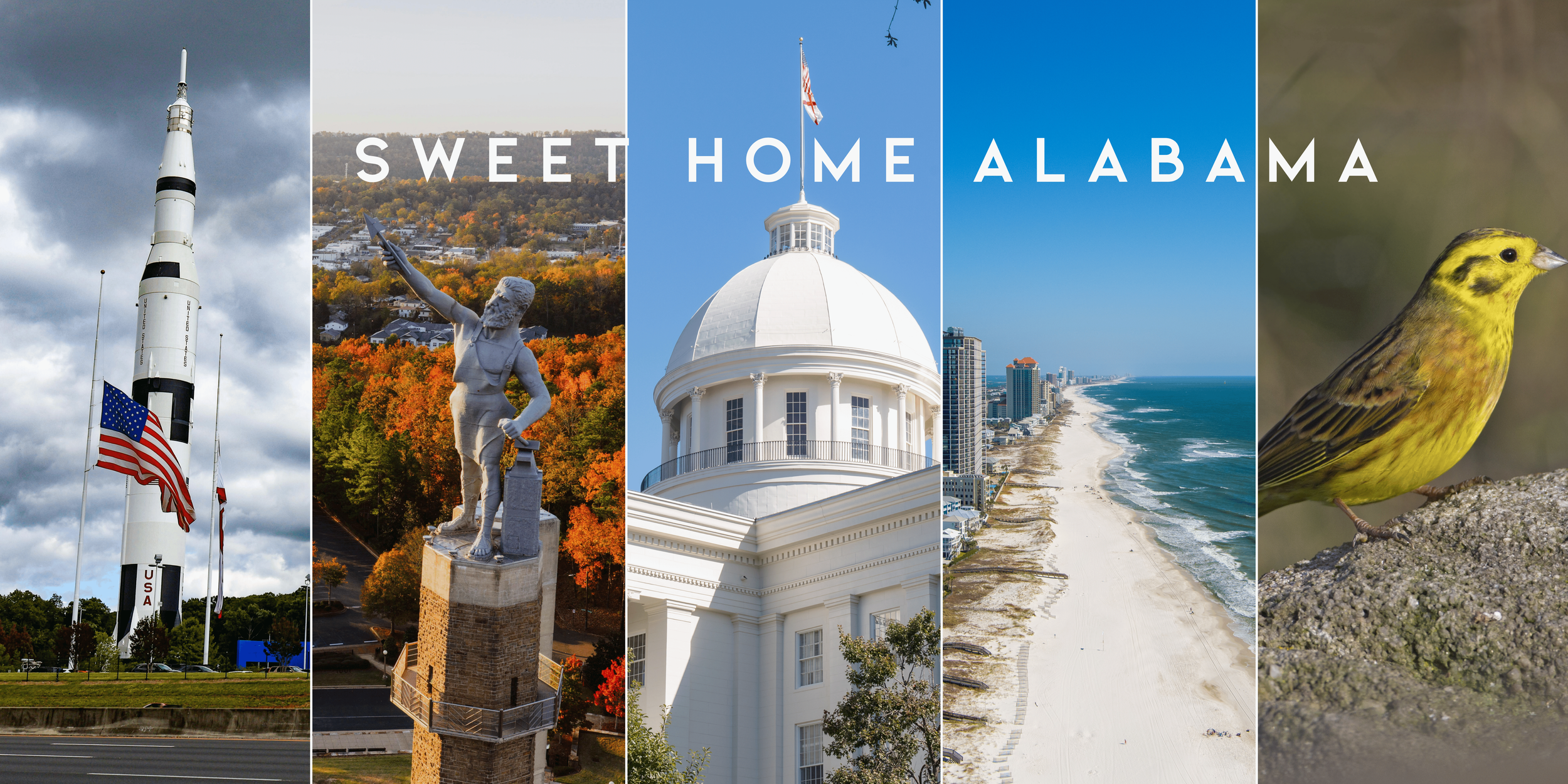 Alabama banner (2).png