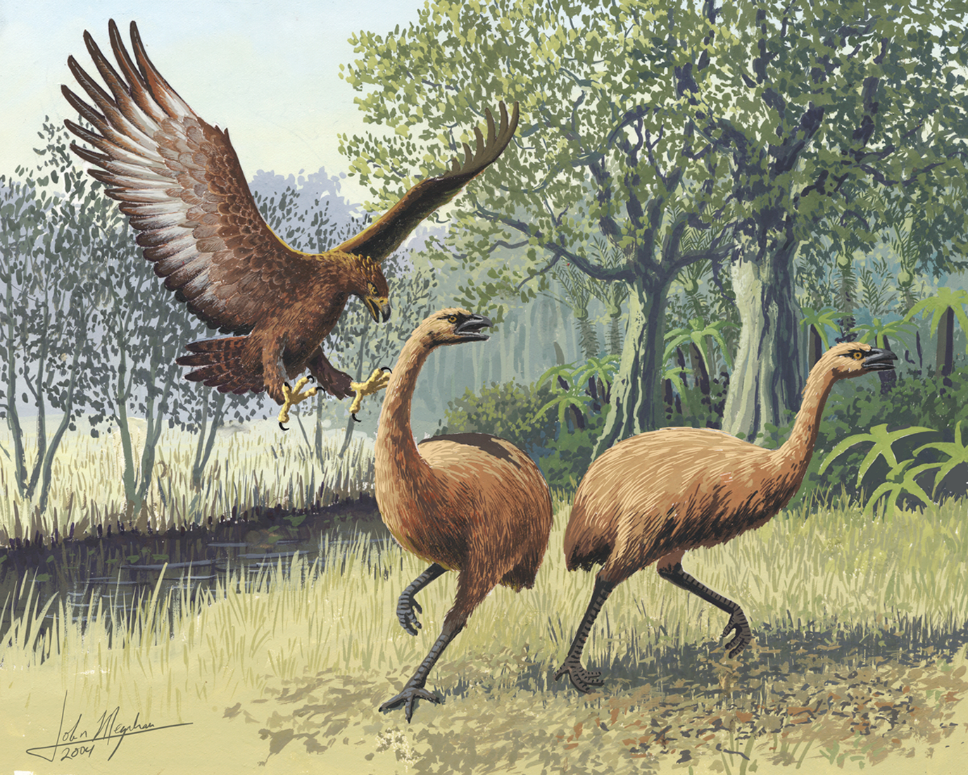 Haast’s Eagle was the largest eagle known to have existed. Here it is pictured attacking moa (also extinct). Image by John Megahan/PLoS Biology (CC BY 2.5).