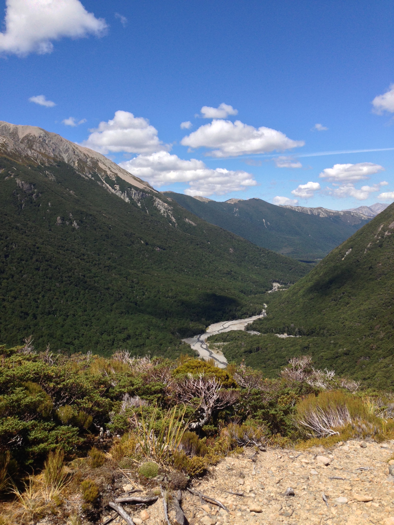 Halfway up the mountainside - Hawdon Valley, near Arthur's Pass.