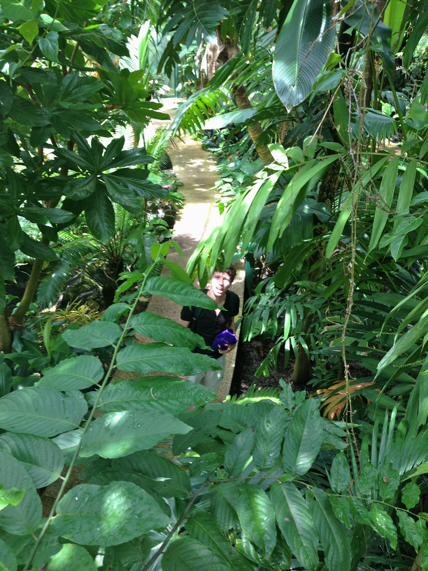 Feelin' lush in the rainforest pyramid.