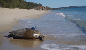 Photo via James Cook University.