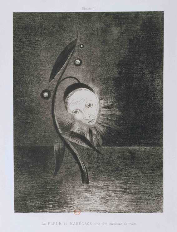 The Marsh Flower, A Sad and Human Head, 1885, Odilon Redon (1840-1916)