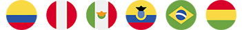 BANDERAS+HINODE+INTERNACIONAL.png