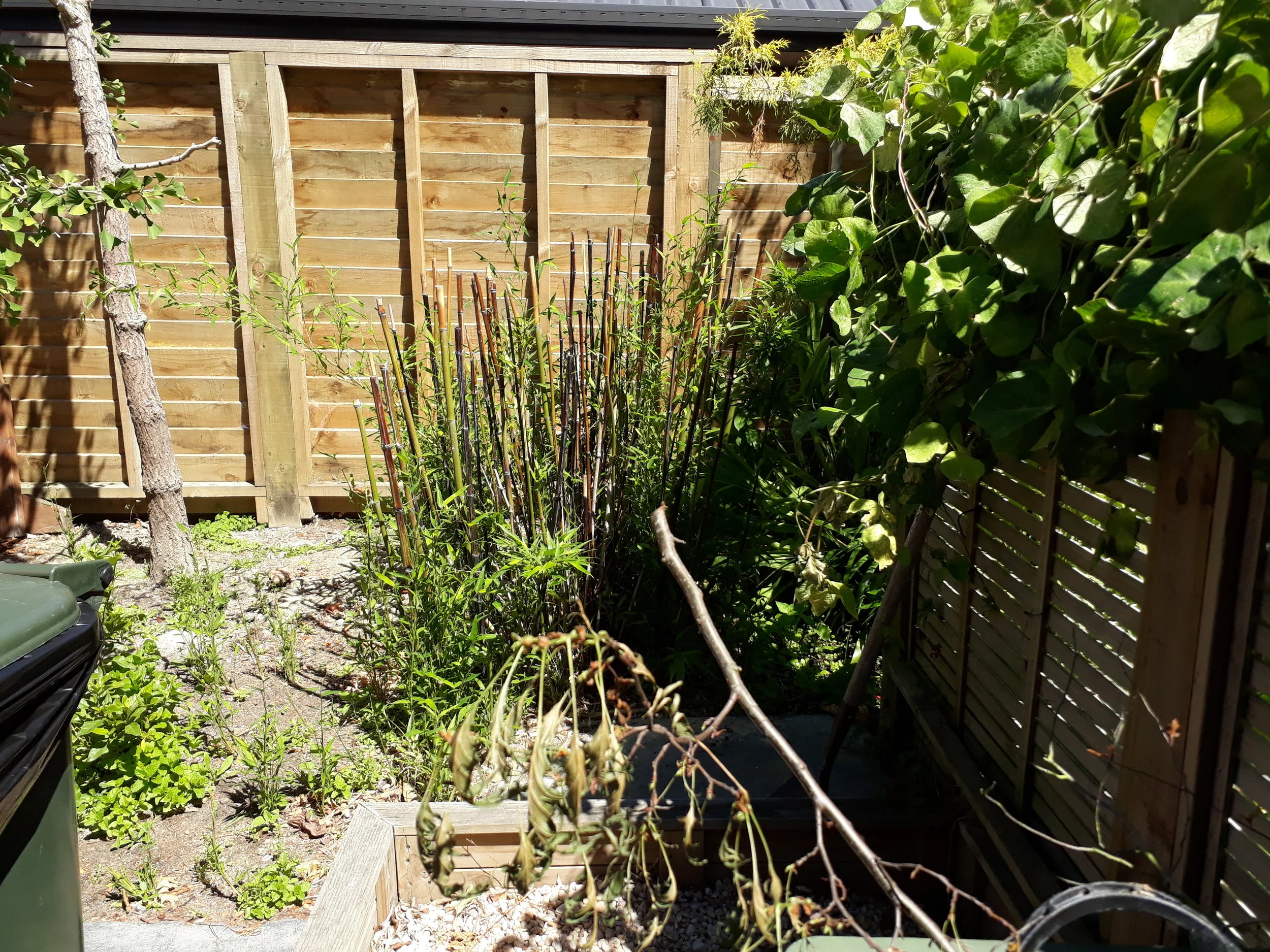 Little garden area - start point