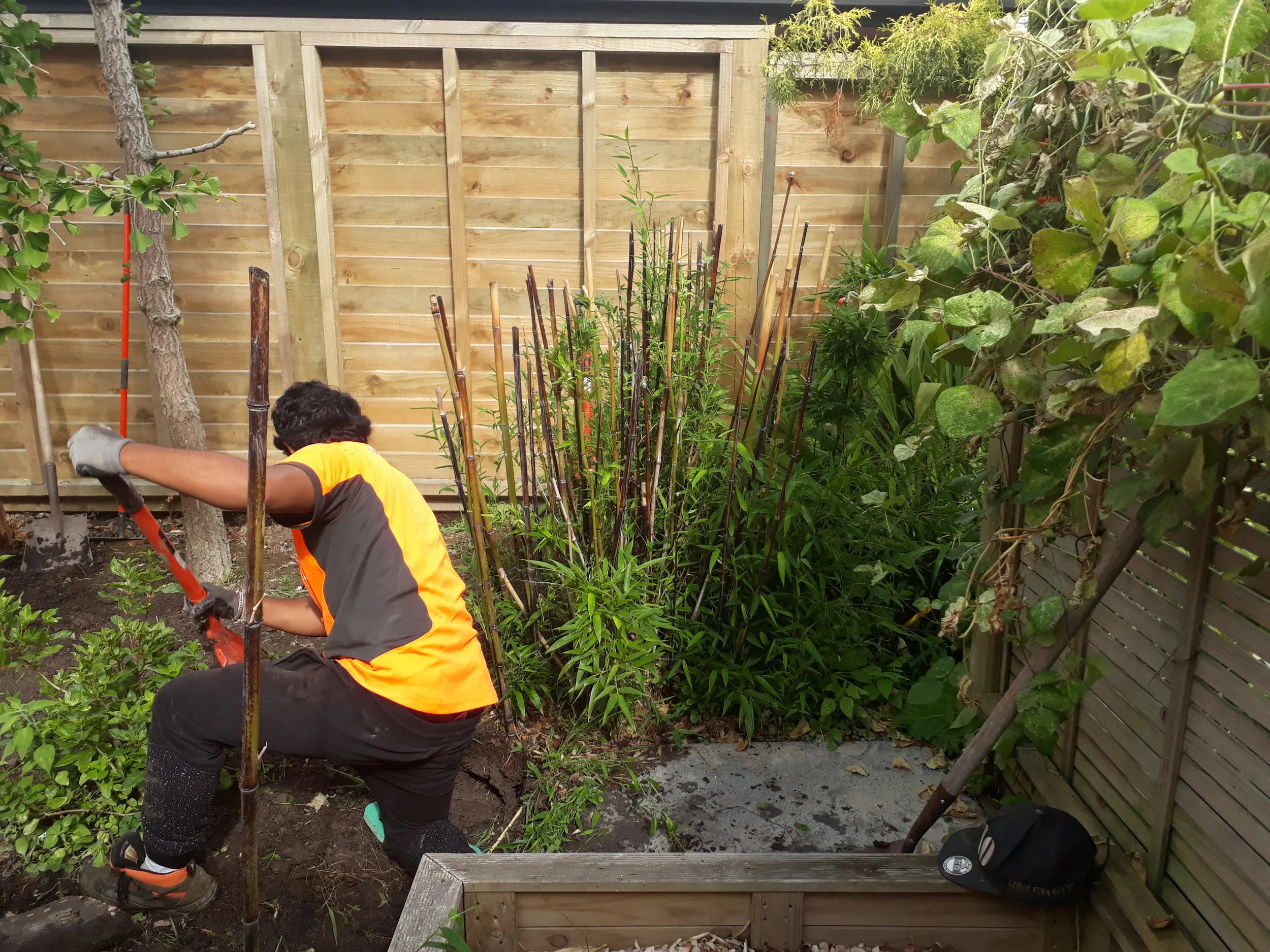 Hard work &amp; sweat