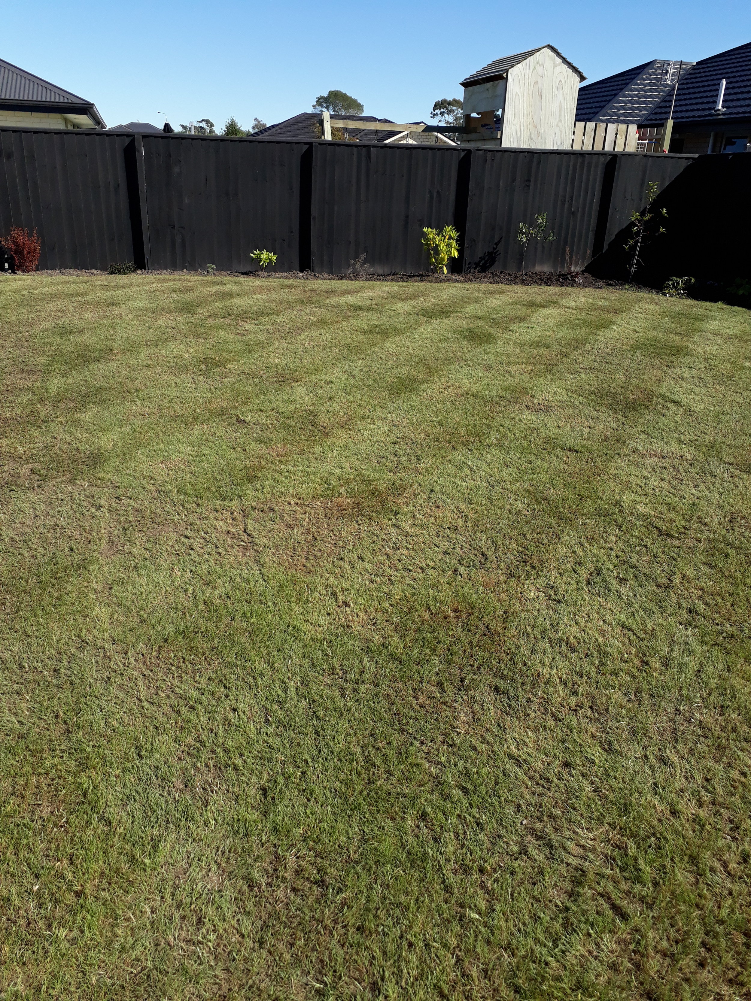 And again, Wow. A couple of weeks and this lawn will be pure