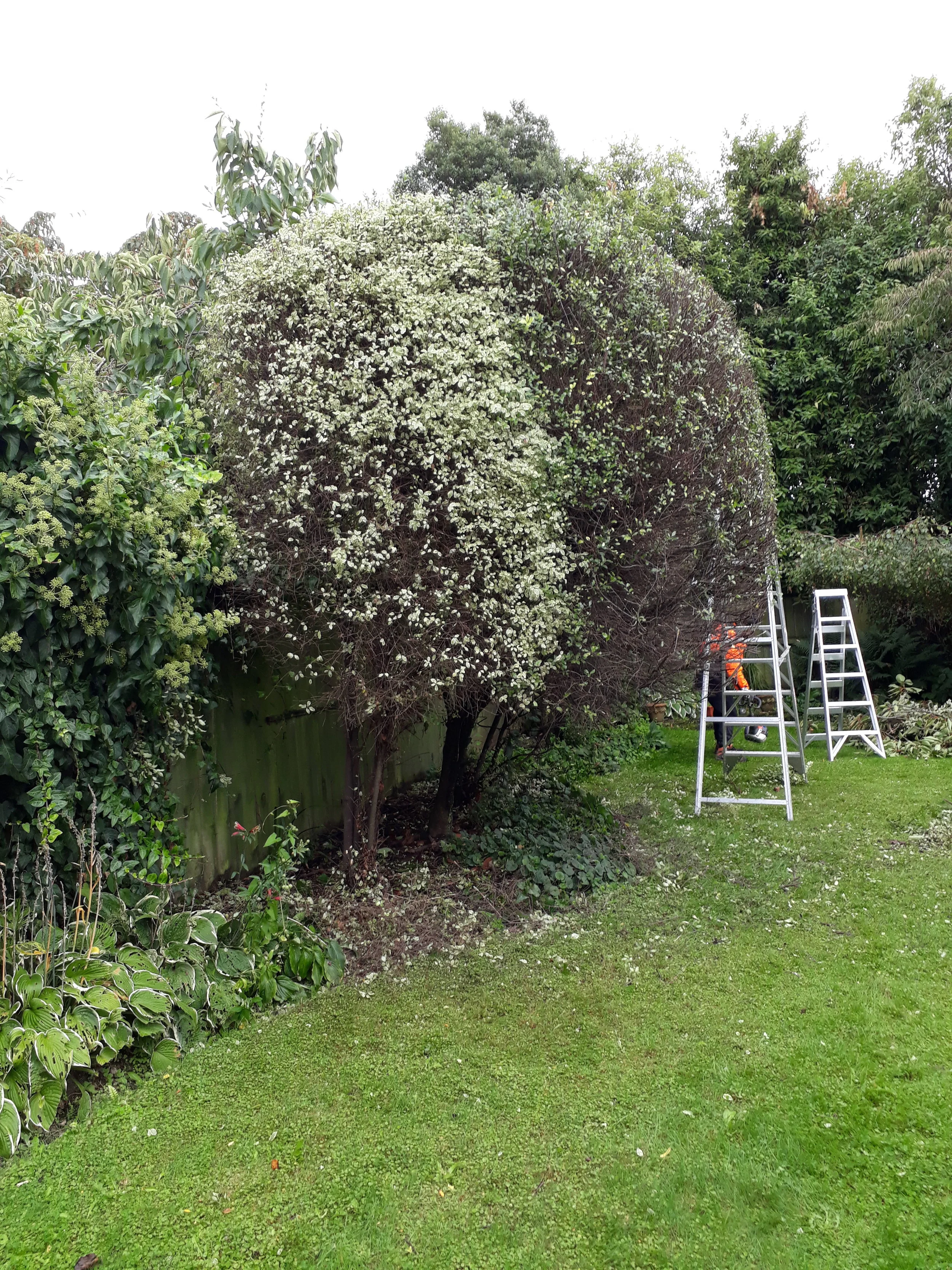 The team beavering away