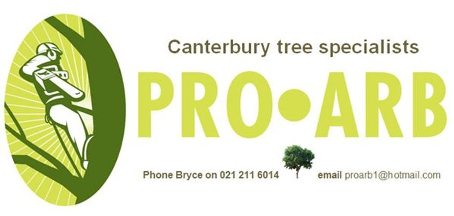 Pro-Arb Tree Specialist