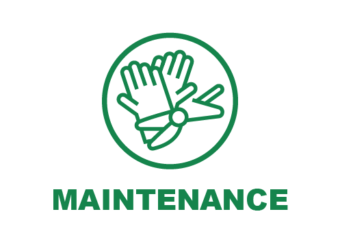 3 icons-plain-13.png