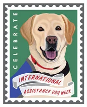 retropets-cafe-press-web-banner.jpg