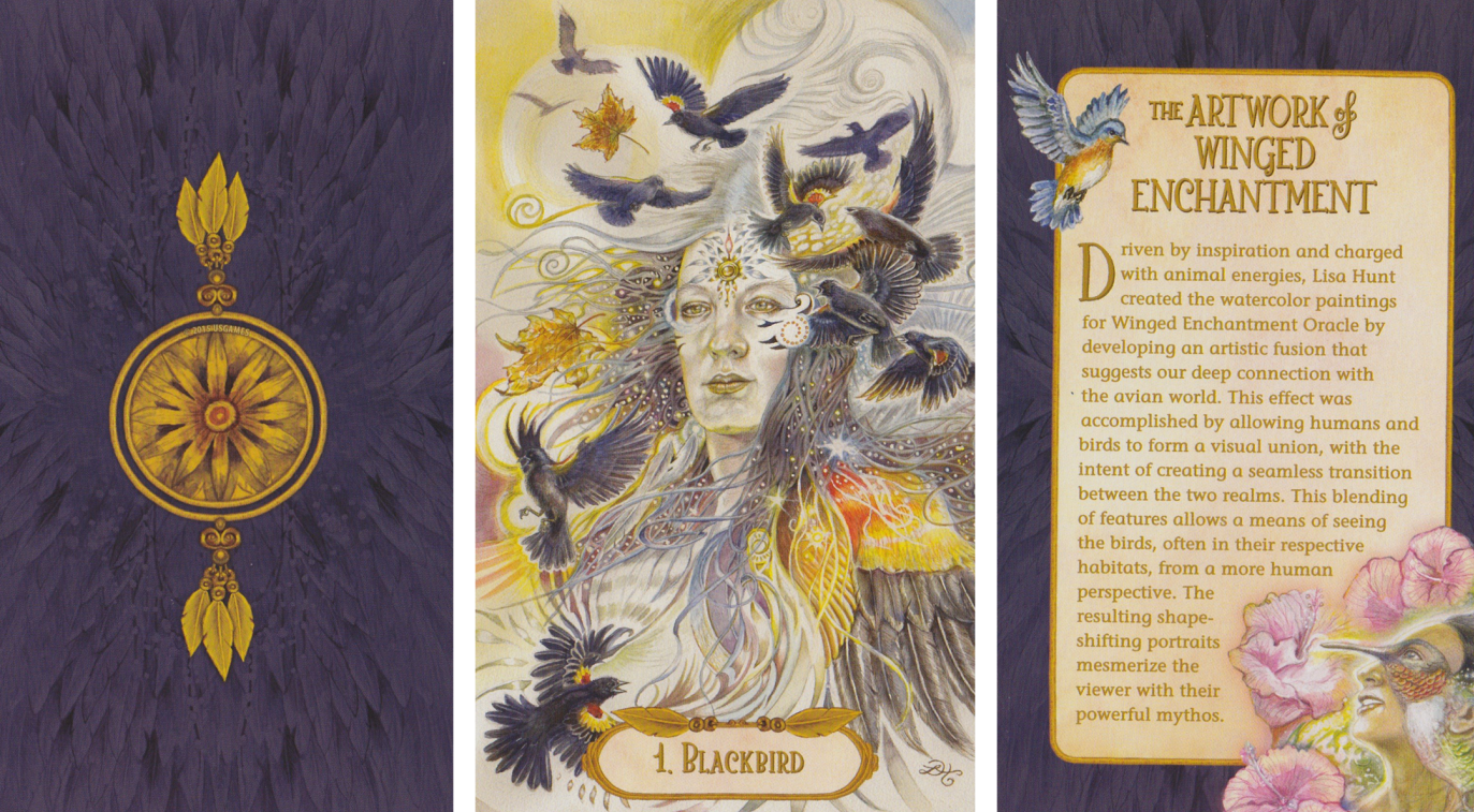 winged enchantment -.png