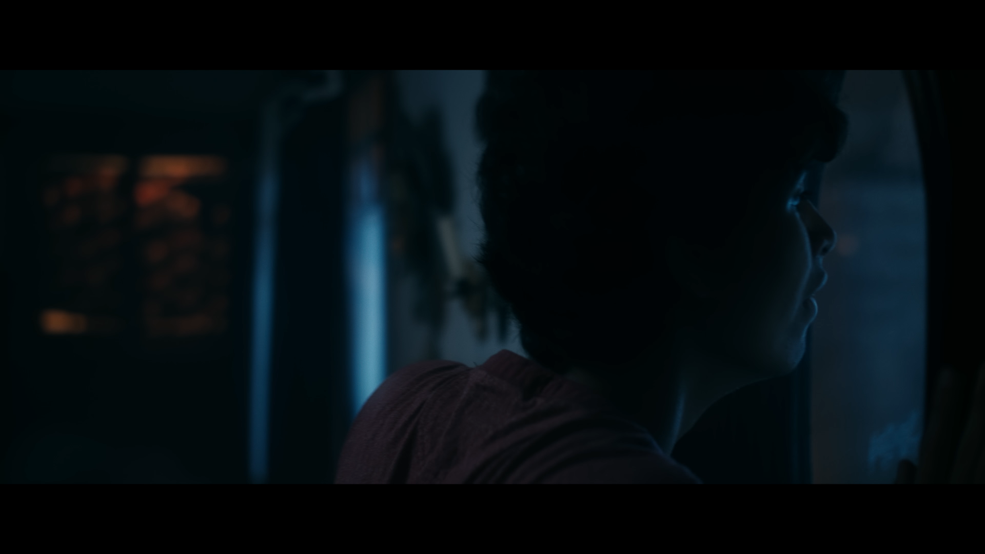 LC Final Color no titles.mov.01_11_16_18.Still018.png