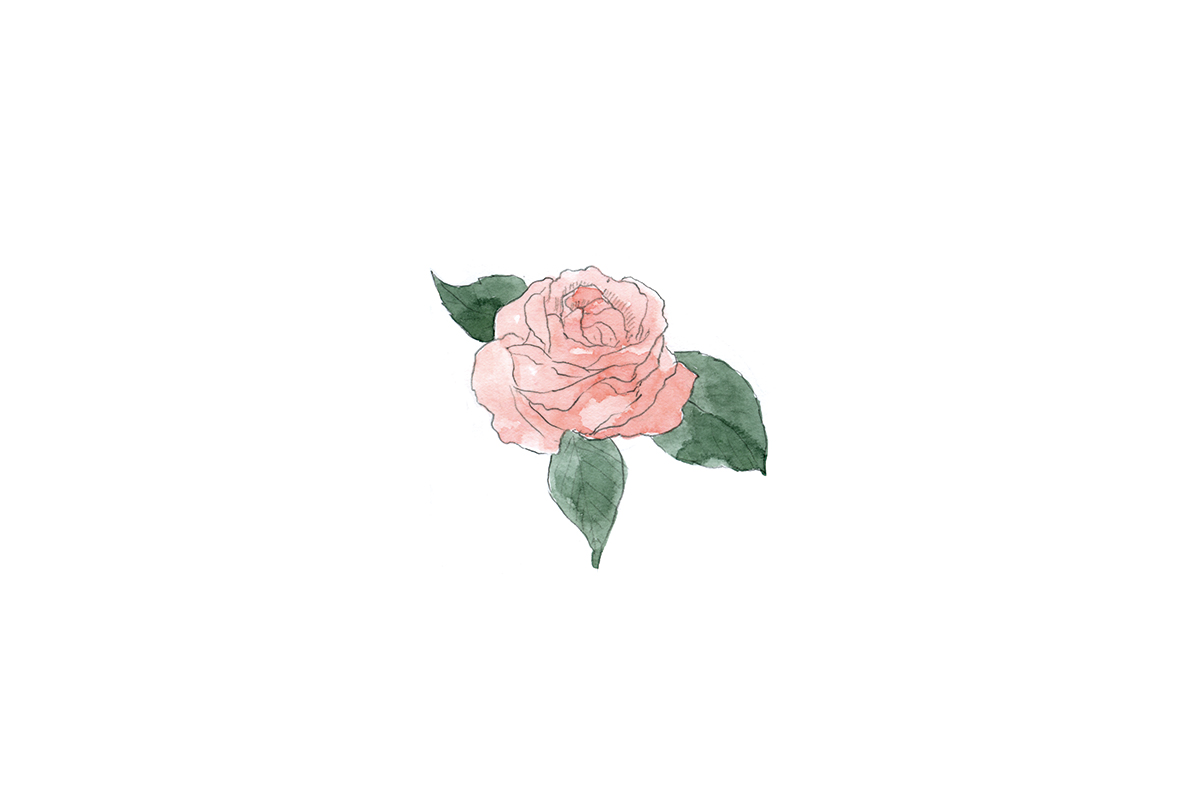 rose3_web.jpg