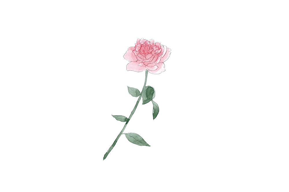 rose1_2_CMYK.jpg