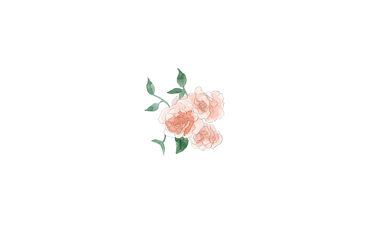 rose2_web.jpg