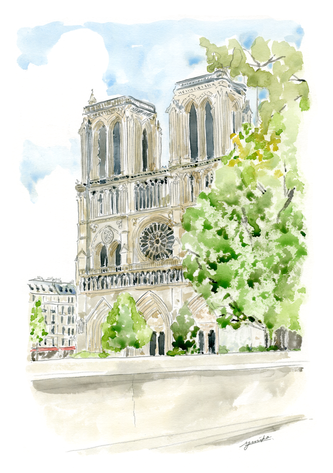 notredame_paris_yurikooyamaillustration.png