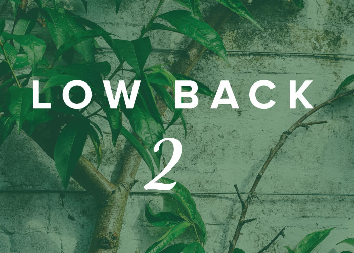 Yoga & the Mindful Body Series: Low Back 2