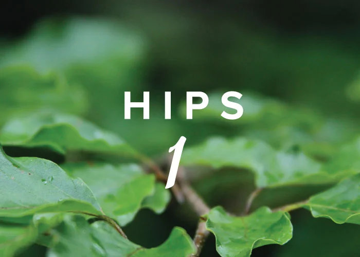 Yoga & the Mindful Body Series: Hips 1