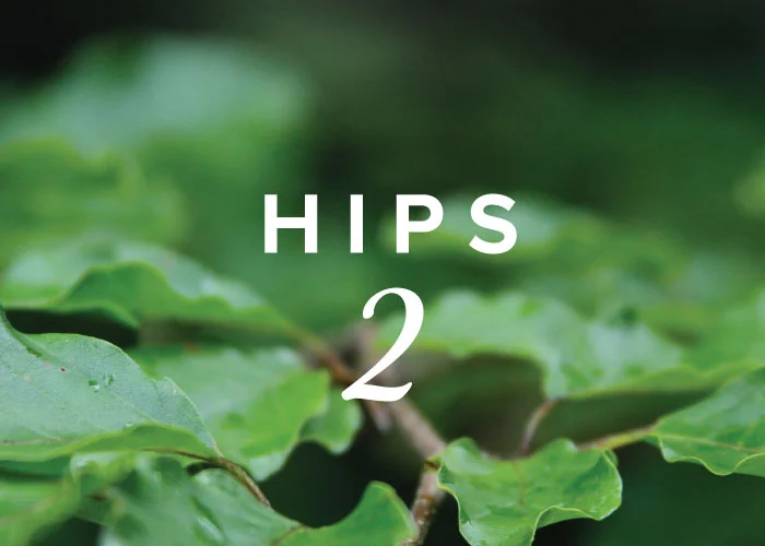 Yoga & the Mindful Body Series: Hips 2