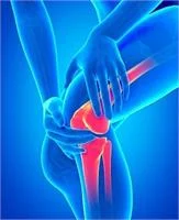 Yoga For Healthy Knees