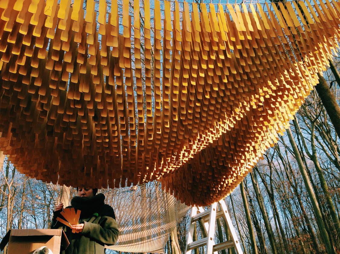 An installation created by Lauren for the Open Air Art Museum in Holmes County. With help from Britni Cartier, 14,000 hand-dyed paint stirrers were suspended from the trees over a hiking trail in November 2016.