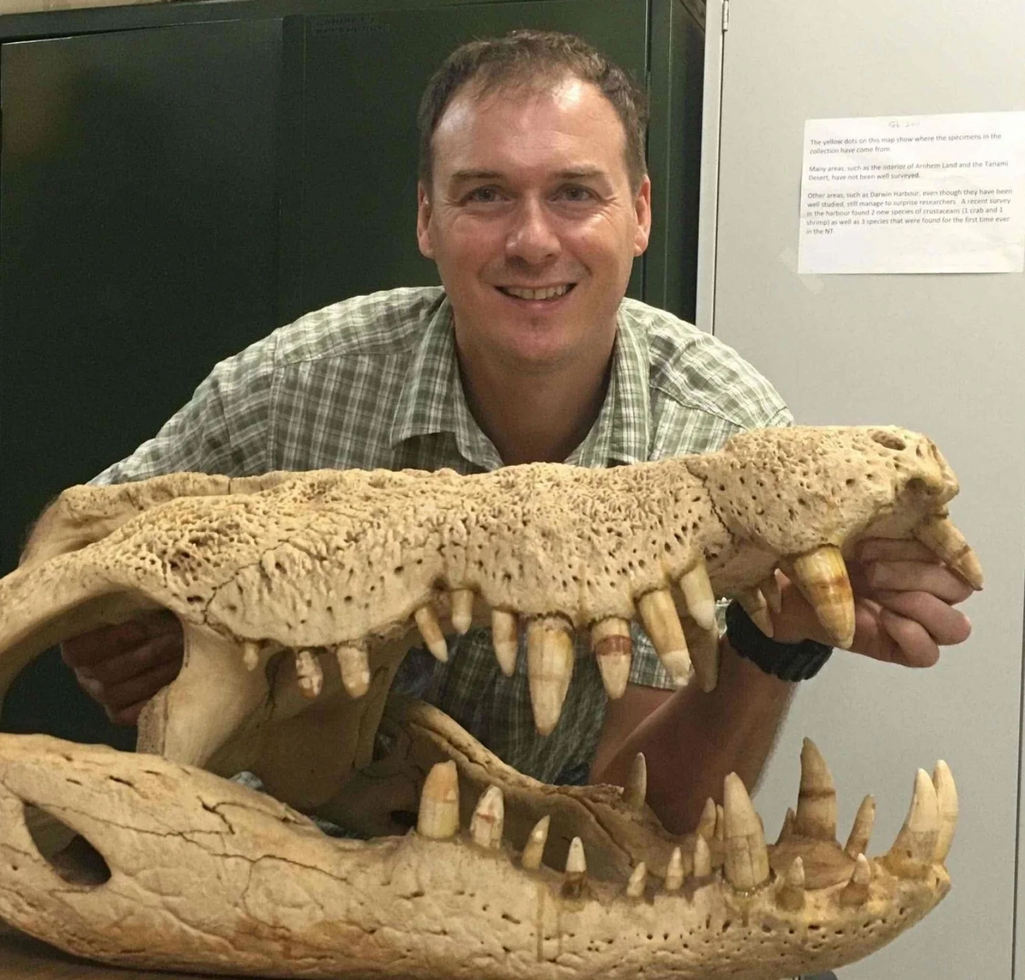 Hamish+skull.jpg