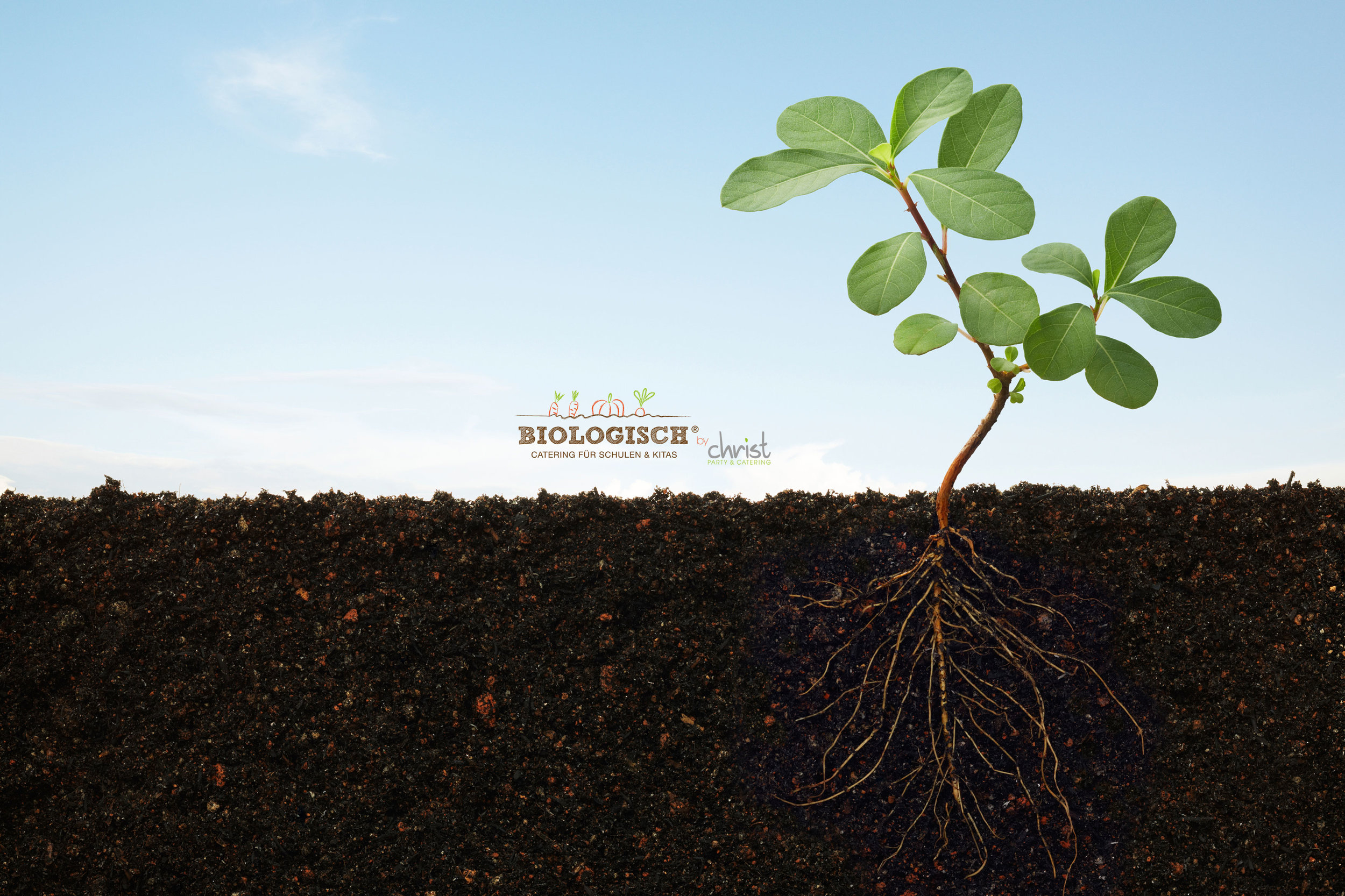 Banner_Biologisch11.jpg