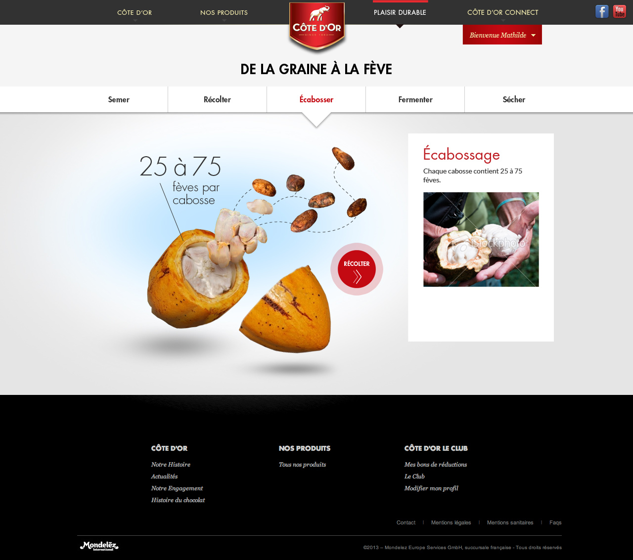 CdO-cultiver-interieur06.jpg