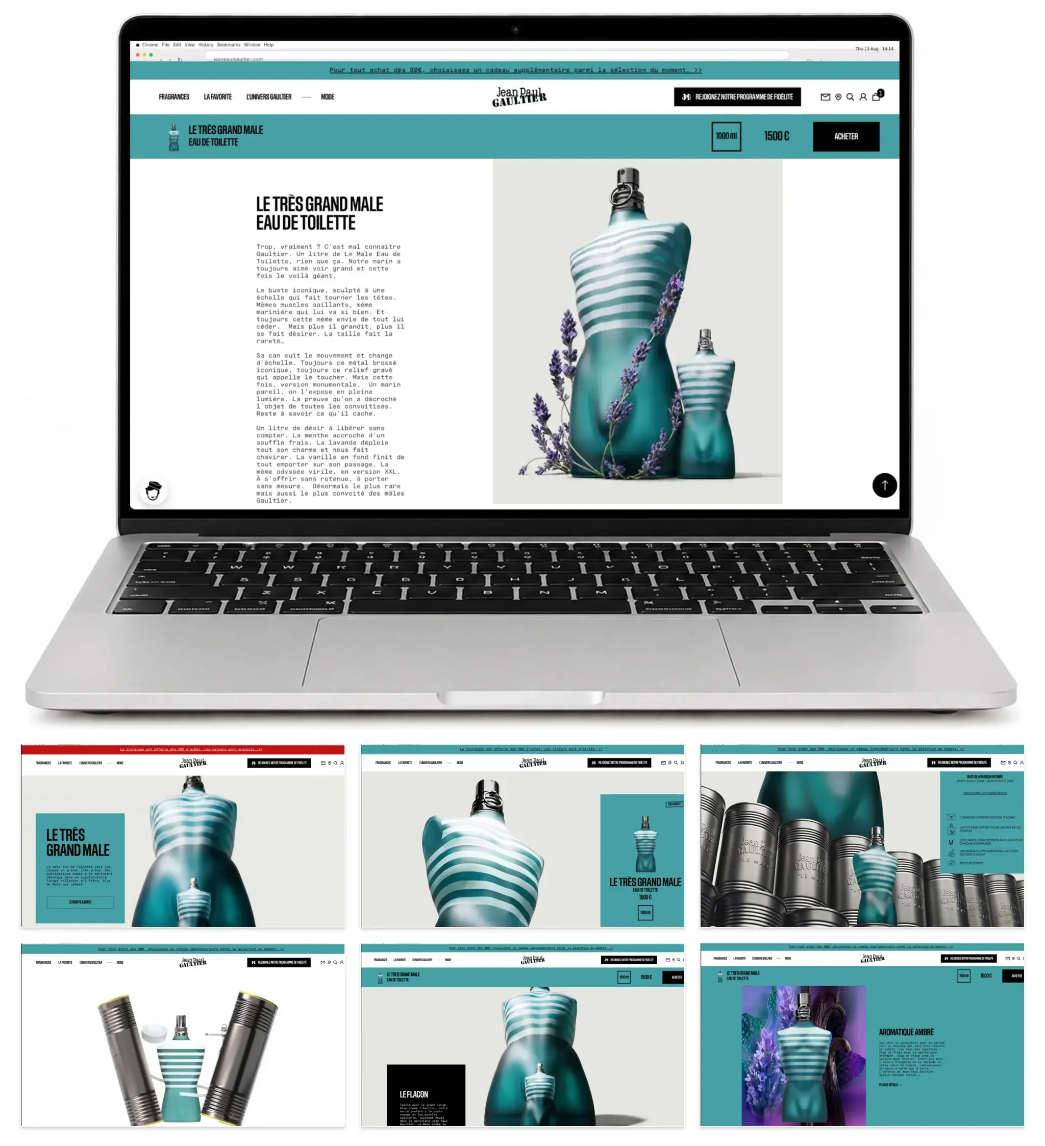JPG_Le_Tres_Grand_Male_website_portfolio_board.webp